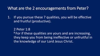 What are the 2 encouragements from Peter?
1. If you pursue these 7 qualities, you will be effective
and fruitful (productive).
2 Peter 1:8
8 For if these qualities are yours and are increasing,
they keep you from being ineffective or unfruitful in
the knowledge of our Lord Jesus Christ.
 