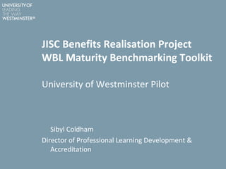 JISC Benefits Realisation Project WBL Maturity Benchmarking Toolkit ,[object Object],[object Object],[object Object]