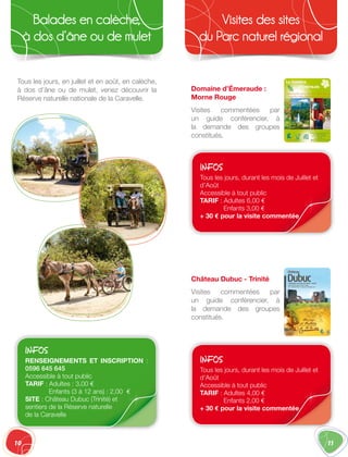 10
Balades en calèche,
à dos d’âne ou de mulet
11
Visites des sites
du Parc naturel régional
Tous les jours, en juillet et en août, en calèche,
à dos d’âne ou de mulet, venez découvrir la
Réserve naturelle nationale de la Caravelle.
Domaine d’Émeraude :
Morne Rouge
Visites commentées par
un guide conférencier, à
la demande des groupes
constitués.
Château Dubuc - Trinité
Visites commentées par
un guide conférencier, à
la demande des groupes
constitués.
INFOS
RENSEIGNEMENTS ET INSCRIPTION  :
0596 645 645
Accessible à tout public
TARIF : Adultes : 3,00 €
Enfants (3 à 12 ans) : 2,00 €
SITE : Château Dubuc (Trinité) et
sentiers de la Réserve naturelle
de la Caravelle
INFOS
Tous les jours, durant les mois de Juillet et
d’Août
Accessible à tout public
TARIF : Adultes 6,00 €
Enfants 3,00 €
+ 30 € pour la visite commentée
INFOS
Tous les jours, durant les mois de Juillet et
d’Août
Accessible à tout public
TARIF : Adultes 4,00 €
Enfants 2,00 €
+ 30 € pour la visite commentée
 