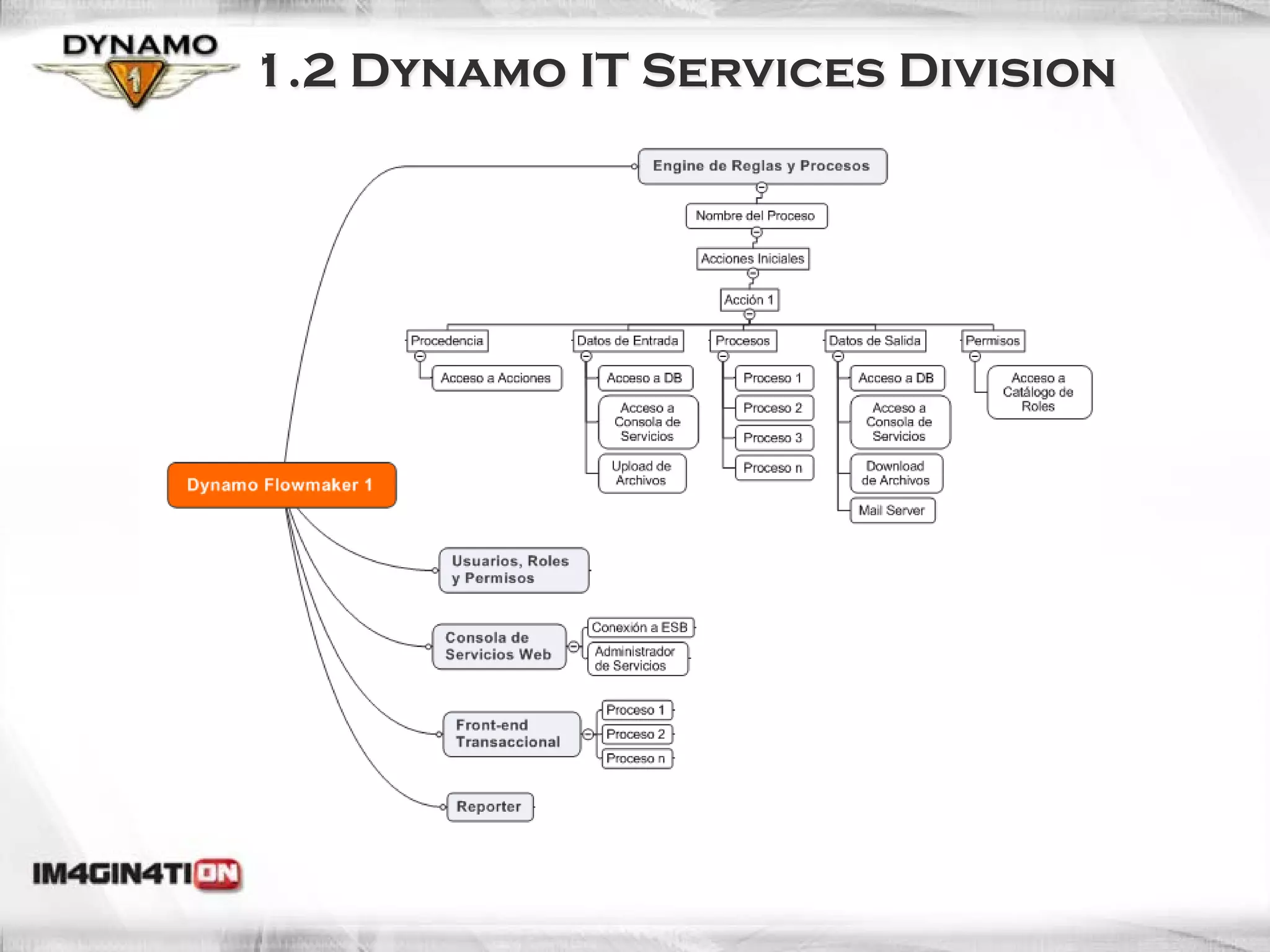 1.2 Dynamo IT Services Division
 