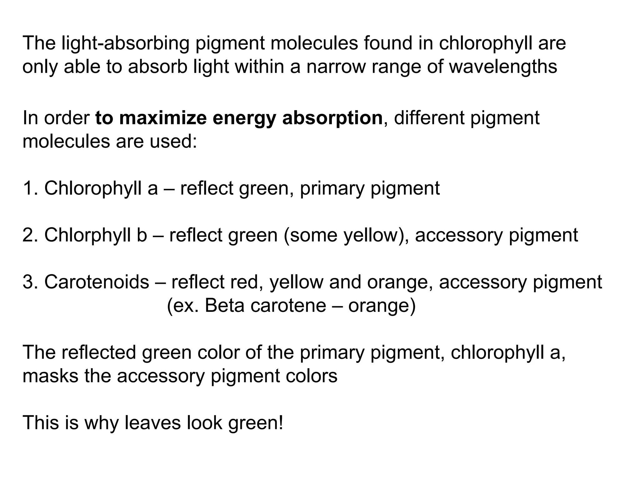 In order  to maximize energy absorption , different pigment molecules are used: 1. Chlorophyll a – reflect green, primary pigment 2. Chlorphyll b – reflect green (some yellow), accessory pigment 3. Carotenoids – reflect red, yellow and orange, accessory pigment   (ex. Beta carotene – orange) The reflected green color of the primary pigment, chlorophyll a, masks the accessory pigment colors This is why leaves look green! The light-absorbing pigment molecules found in chlorophyll are only able to absorb light within a narrow range of wavelengths 