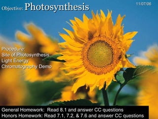 Objective:  Photosynthesis 11/07/06 Procedure: Site of Photosynthesis Light Energy Chromatography Demo General Homework:  Read 8.1 and answer CC questions Honors Homework: Read 7.1, 7.2, & 7.6 and answer CC questions 