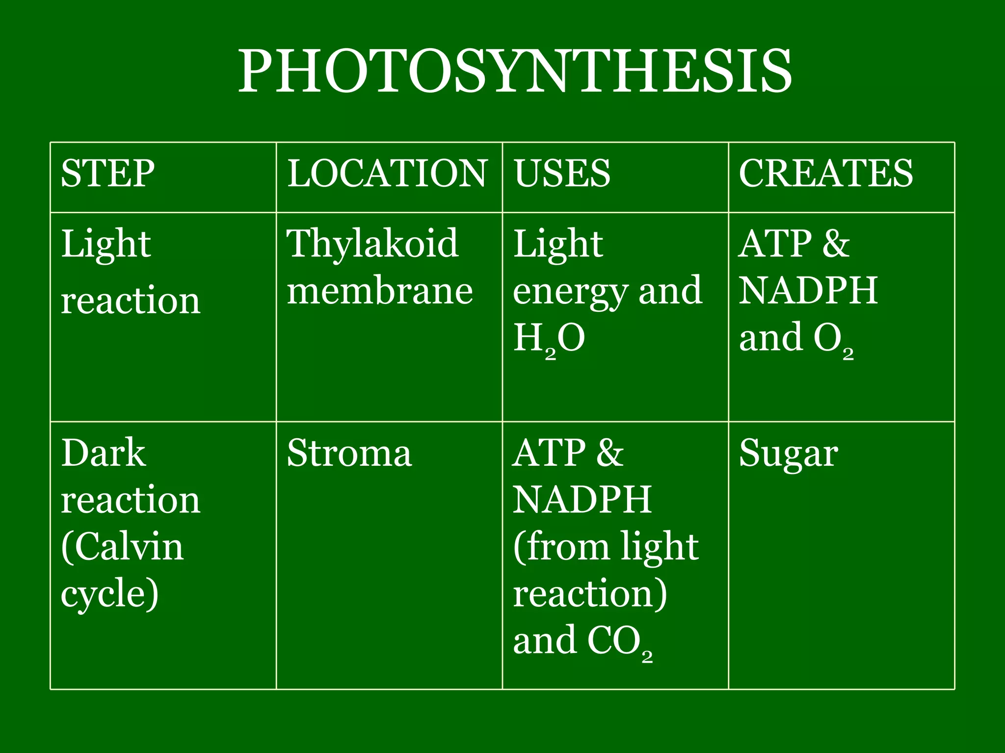 PHOTOSYNTHESIS Sugar ATP & NADPH (from light reaction) and CO 2 Stroma Dark reaction (Calvin cycle) ATP & NADPH and O 2 Light energy and H 2 O Thylakoid membrane Light reaction CREATES USES LOCATION STEP