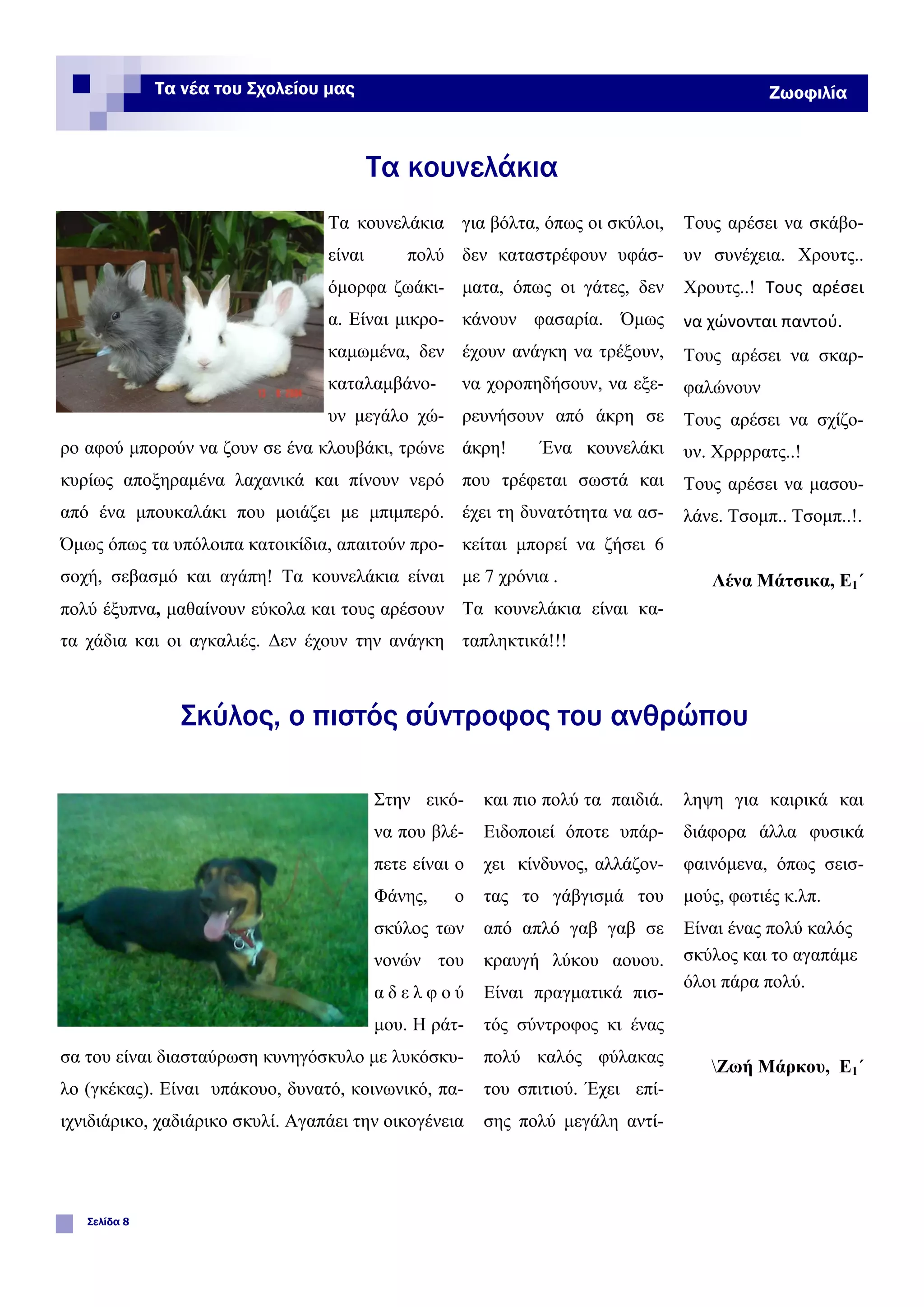 Τα κουνελάκια
είναι πολύ
όμορφα ζωάκι-
α. Είναι μικρο-
καμωμένα, δεν
καταλαμβάνο-
υν μεγάλο χώ-
ρο αφού μπορούν να ζουν σε ένα κλουβάκι, τρώνε
κυρίως αποξηραμένα λαχανικά και πίνουν νερό
από ένα μπουκαλάκι που μοιάζει με μπιμπερό.
Όμως όπως τα υπόλοιπα κατοικίδια, απαιτούν προ-
σοχή, σεβασμό και αγάπη! Τα κουνελάκια είναι
πολύ έξυπνα, μαθαίνουν εύκολα και τους αρέσουν
τα χάδια και οι αγκαλιές. Δεν έχουν την ανάγκη
για βόλτα, όπως οι σκύλοι,
δεν καταστρέφουν υφάσ-
ματα, όπως οι γάτες, δεν
κάνουν φασαρία. Όμως
έχουν ανάγκη να τρέξουν,
να χοροπηδήσουν, να εξε-
ρευνήσουν από άκρη σε
άκρη! Ένα κουνελάκι
που τρέφεται σωστά και
έχει τη δυνατότητα να ασ-
κείται μπορεί να ζήσει 6
με 7 χρόνια .
Τα κουνελάκια είναι κα-
ταπληκτικά!!!
Τους αρέσει να σκάβο-
υν συνέχεια. Χρουτς..
Χρουτς..! Τους αρέσει
να χώνονται παντού.
Τους αρέσει να σκαρ-
φαλώνουν
Τους αρέσει να σχίζο-
υν. Χρρρρατς..!
Τους αρέσει να μασου-
λάνε. Τσομπ.. Τσομπ..!.
Λένα Μάτσικα, Ε1΄
και πιο πολύ τα παιδιά.
Ειδοποιεί όποτε υπάρ-
χει κίνδυνος, αλλάζον-
τας το γάβγισμά του
από απλό γαβ γαβ σε
κραυγή λύκου αουου.
Είναι πραγματικά πισ-
τός σύντροφος κι ένας
πολύ καλός φύλακας
του σπιτιού. Έχει επί-
σης πολύ μεγάλη αντί-
Στην εικό-
να που βλέ-
πετε είναι ο
Φάνης, ο
σκύλος των
νονών του
α δ ε λ φ ο ύ
μου. Η ράτ-
σα του είναι διασταύρωση κυνηγόσκυλο με λυκόσκυ-
λο (γκέκας). Είναι υπάκουο, δυνατό, κοινωνικό, πα-
ιχνιδιάρικο, χαδιάρικο σκυλί. Αγαπάει την οικογένεια
ληψη για καιρικά και
διάφορα άλλα φυσικά
φαινόμενα, όπως σεισ-
μούς, φωτιές κ.λπ.
Είναι ένας πολύ καλός
σκύλος και το αγαπάμε
όλοι πάρα πολύ.
Ζωή Μάρκου, Ε1΄
Τα κουνελάκια
Σκύλος, ο πιστός σύντροφος του ανθρώπου
Σελίδα 8
Τα νέα του Σχολείου μας Ζωοφιλία
 