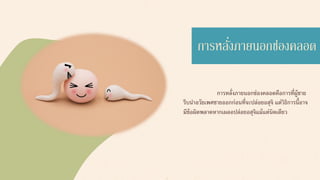 การหลั่งภายนอกช่องคลอดคือการที่ผู้ชาย
รีบนาอวัยเพศชายออกก่อนที่จะปล่อยอสุจิ แต่วิธิการนี้อาจ
มีข้อผิดพลาดหากเผลอปล่อยอสุจิแม้แต่นิดเดียว
การหลั่งภายนอกช่องคลอด
 