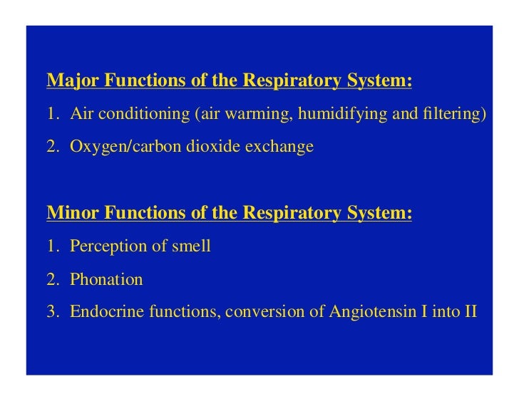 11.10.08(d): Histology of the Respiratory Tract