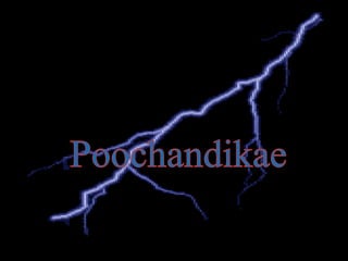 Poochandikae