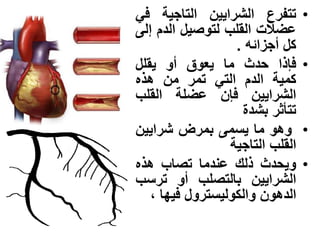 •‫تتفرع‬‫الشراٌٌن‬‫التاجٌة‬ً‫ف‬
‫عضلت‬‫القلب‬‫لتوصٌل‬‫الدم‬‫إلى‬
‫كل‬‫أجزابه‬.
•‫فإذا‬‫حدث‬‫ما‬‫ٌعوق‬‫أو‬‫ٌقلل‬
‫كمٌة‬‫الدم‬ً‫الت‬‫تمر‬‫من‬‫هذه‬
‫الشراٌٌن‬‫فإن‬‫عضلة‬‫القلب‬
‫تتأثر‬‫بشدة‬
•‫وهو‬‫ما‬‫ٌسمى‬‫بمرض‬‫شراٌٌن‬
‫القلب‬‫التاجٌة‬
•‫وٌحدث‬‫ذلك‬‫عندما‬‫تصاب‬‫هذه‬
‫الشراٌٌن‬‫بالتصلب‬‫أو‬‫ترسب‬
‫الدهون‬‫والكولٌسترول‬‫فٌها‬،
 