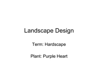 Landscape Design Term: Hardscape Plant: Purple Heart 