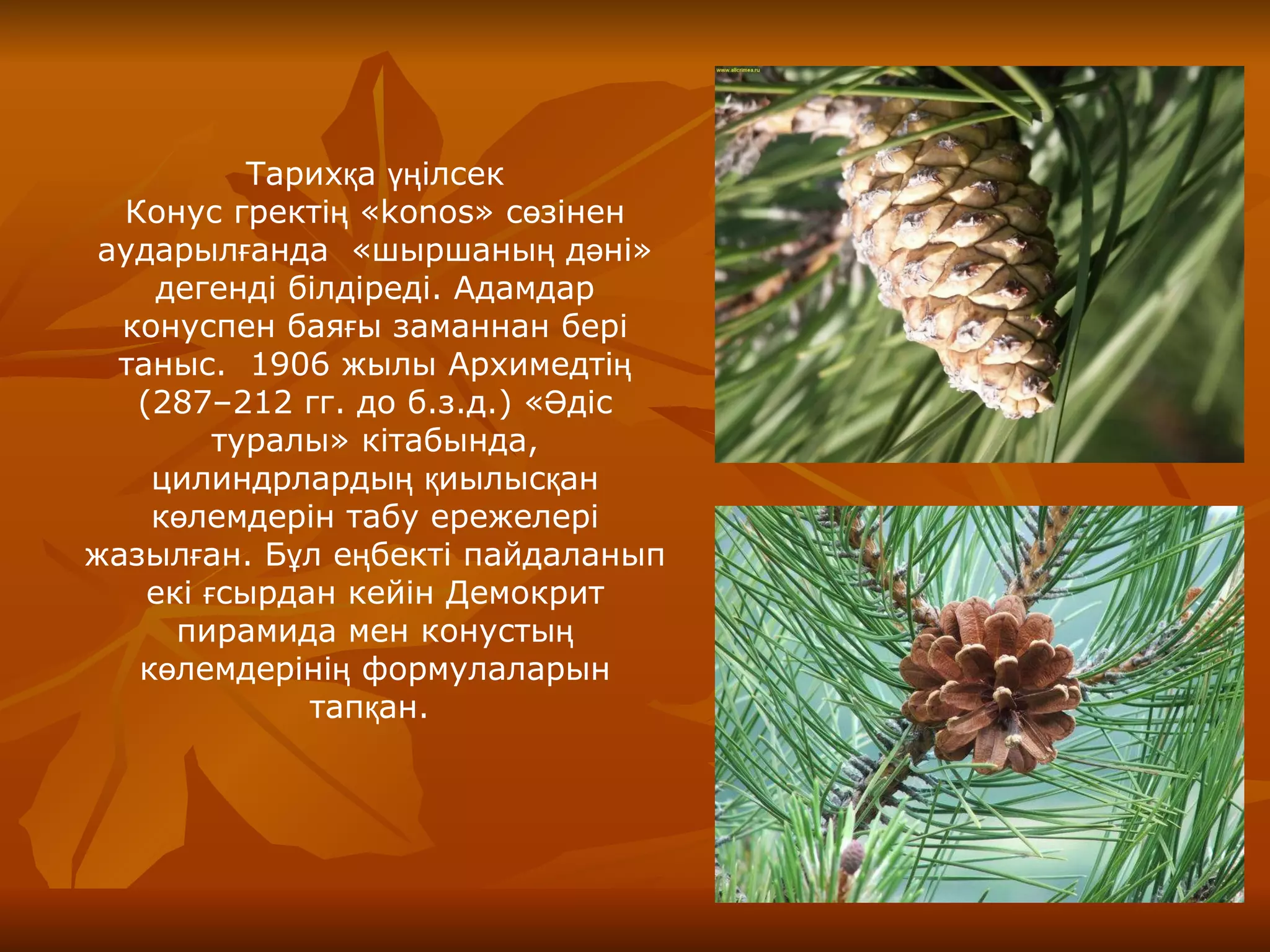 Кристина Пименова жалаңаш