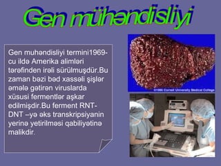 Gen muh ə ndisliyi termini1969-cu ild ə  Amerika aliml ə ri t ə r ə finden ir ə li s ü r ü lmu ş d ü r . Bu zaman b ə zi b ə d xass ə li  ş i ş l ə r  ə m ə l ə  g ə tir ə n viruslarda x ü susi fermentl ə r a ş kar edilmi ş dir.Bu ferment RNT-DNT –y ə   ə ks transkripsiyanin yerin ə  yetirilm ə si qabiliy ə tin ə  malikdir . Gen mühəndisliyi 