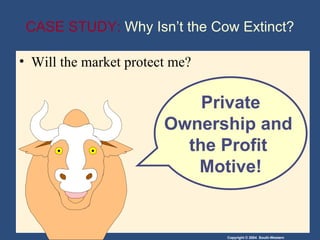 CASE STUDY:  Why Isn’t the Cow Extinct? Will the market protect me? Private Ownership and  the Profit  Motive! 