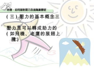 ( 三 ) 壓力的基本概念三 壓力是可以轉成助力的 ( 如飛機、老鷹的展翅上騰 ) 