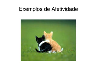 Exemplos de Afetividade 