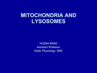 MITOCHONDRIA AND LYSOSOMES HUSAN BANO Assistant Professor Deptt. Physiology. SMC 