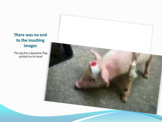 There was no end
 to the insulting
     images
The pig has a Japanese flag
   symbol on its head
 