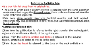 Comprehensive Overview of Pain Sensation, Types, and Control Mechanisms ...
