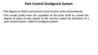 Comprehensive Overview of Pain Sensation, Types, and Control Mechanisms ...