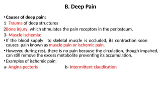 Comprehensive Overview of Pain Sensation, Types, and Control Mechanisms ...