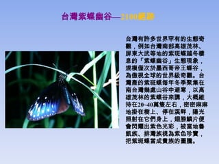 台灣紫蝶幽谷—2100絕跡

        台灣有許多世界罕有的生態奇
        觀，例如台灣南部高雄茂林、
        屏東大武等地的紫斑蝶越冬棲
        息的「紫蝶幽谷」生態現象，
        規模僅次於墨西哥帝王蝶谷，
        為傲視全球的世界級奇觀。台
        灣產的紫斑蝶每年冬季聚集在
        南台灣幾處山谷中避寒，以高
        雄茂林的紫蝶谷來講，大概維
        持在20~40萬隻左右，密密麻麻
        地掛在樹上、停在溪畔，陽光
        照射在它們身上，翅膀鱗片便
        會閃耀出紫色光彩，被當地魯
        凱族、排灣族視為紫色珍寶，
        把紫斑蝶當成貴族的圖騰。
 