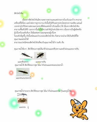 สัตวȎหนาดิน

            เนื่องจากสัตวȎหนาดินมีความหลากหลายและแพรกระจายในบริเวณกวาง สามารถ
เคลื่อนที่ไดนอย และไวตอการถูกรบกวน ดังนั้นจึงไดรับผลกระทบโดยตรงจากมลพิษ และแม
เวลาผานไปก็ยังตรวจสอบผลกระทบที่มีตอแหลงน้ําบริเวณนั้นๆ ได เนื่องจากสัตวȎหนาดิน
สามารถฟนตัวไดชา นอกจากนี้แลวยังมีความสําคัญในหวงโซอาหาร เนื่องจากเปนผูผลิตหรือ
ผูบริโภคในระดับตนๆ จึงมีผลตอความชุกชุมของผูบริโภค
ในระดับที่สูงขึ้น ดังนั้นชนิดและจํานวนของสัตวȎหนาดิน จึงสามารถนํามาใชเปนดัชนีชี้วัด
คุณภาพแหลงน้ําได
สามารถแบงชนิดของสัตวȎหนาดินที่พบกับคุณภาพน้ําได 4 ระดับ คือ

คุณภาพน้ําดีมาก สัตวที่พบมากสุดไดแกตัวออนแมลงชีปะขาวและตัวออนแมลงเกาะหิน



   แมลงชีปะขาว             แมลงเกาะหิน
คุณภาพน้ําดี สัตวที่พบมากสุด ไดแก ตัวออนแมลงหนอนปลอกน้ํา



  แมลงหนอนปลอกน้ํา



คุณภาพน้ําปานกลาง สัตวที่พบมากสุด ไดแก ตัวออนแมลงปอ กุงและปูน้ําจืด




      แมลงปอ ปู
 