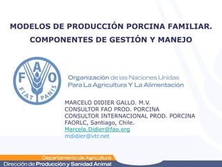 MODELOS DE PRODUCCIÓN PORCINA FAMILIAR.
COMPONENTES DE GESTIÓN Y MANEJO

MARCELO DIDIER GALLO. M.V.
CONSULTOR FAO PROD. PORCINA
CONSULTOR INTERNACIONAL PROD. PORCINA
FAORLC, Santiago, Chile.
Marcelo.Didier@fao.org
mdidier@vtr.net

 