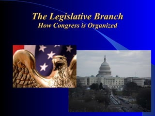 The Legislative Branch How Congress is Organized 