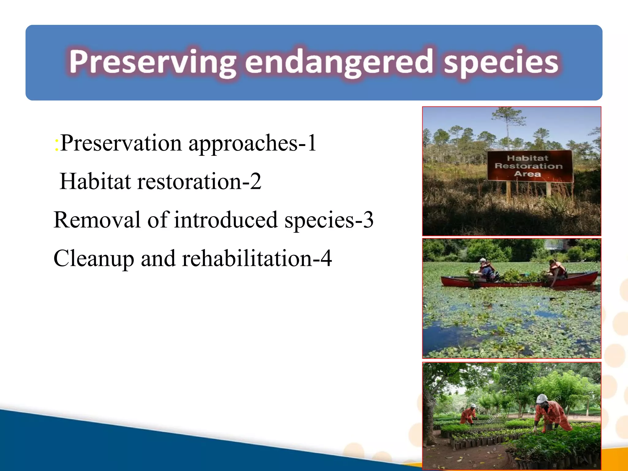 1-Preservation approaches:
2-Habitat restoration
3-Removal of introduced species
4-Cleanup and rehabilitation
 