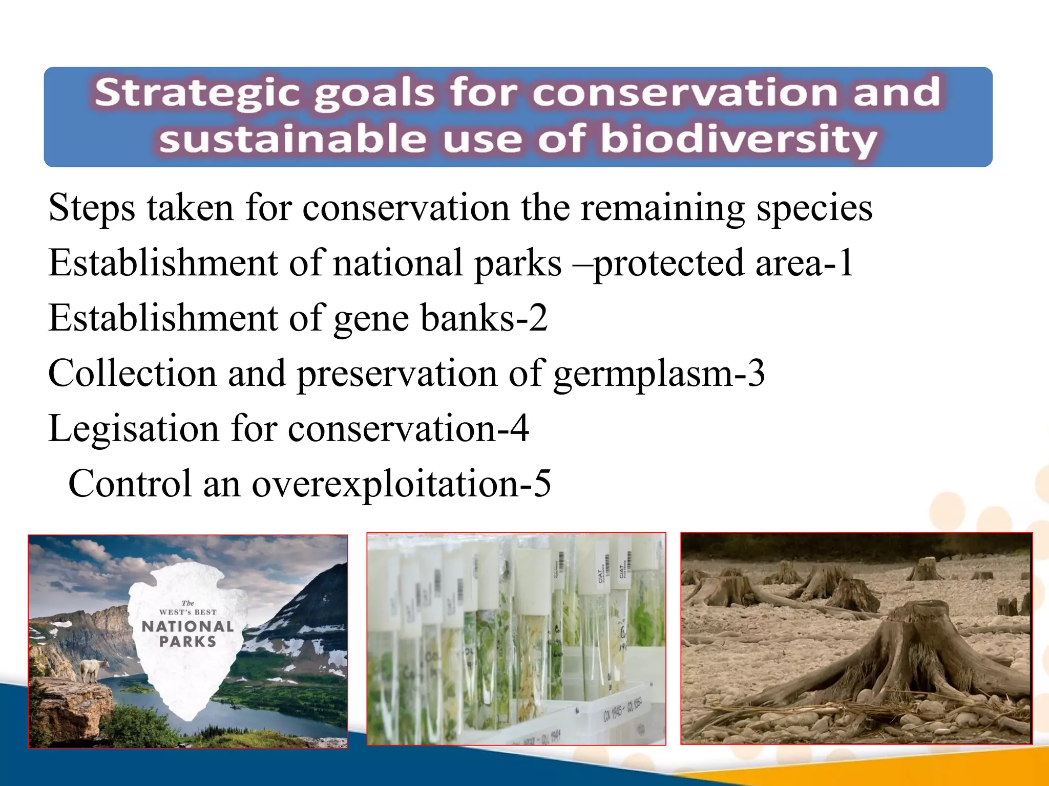 Steps taken for conservation the remaining species
1-Establishment of national parks –protected area
2-Establishment of gene banks
3-Collection and preservation of germplasm
4-Legisation for conservation
5-Control an overexploitation
 