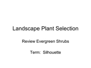 Landscape Plant Selection Review Evergreen Shrubs Term:  Silhouette 
