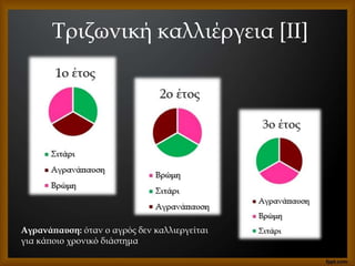 Τριζωνική καλλιέργεια [II]
Αγρανάπαυση: όταν ο αγρός δεν καλλιεργείται
για κάποιο χρονικό διάστημα
 