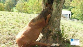 Наш путь от 90 до 6500 тестов / Иван Медведев (СКБ Контур)