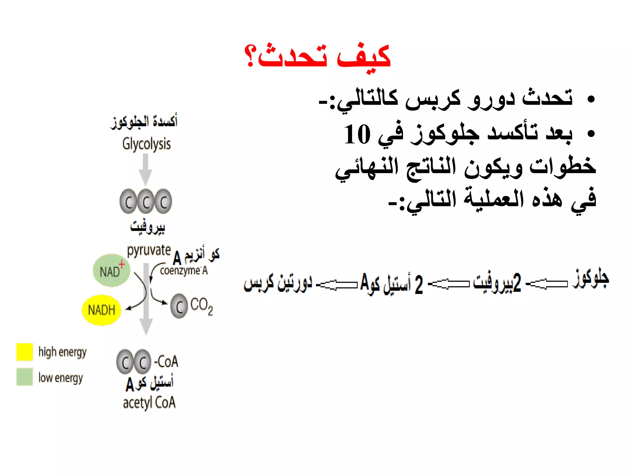 ‫ححذد‬ ‫كٛف‬‫؟‬
•‫ححذد‬ٙ‫كانخان‬ ‫كشبس‬ ٔ‫دٔس‬:-
•ٙ‫ف‬ ‫خهٕكٕص‬ ‫حأكسذ‬ ‫بعذ‬10
ٙ‫انُٓائ‬ ‫انُاحح‬ ٌٕ‫ٔٚك‬ ‫خطٕاث‬
ٙ‫انخان‬ ‫انعًهٛت‬ ِ‫ْز‬ ٙ‫ف‬:-
 