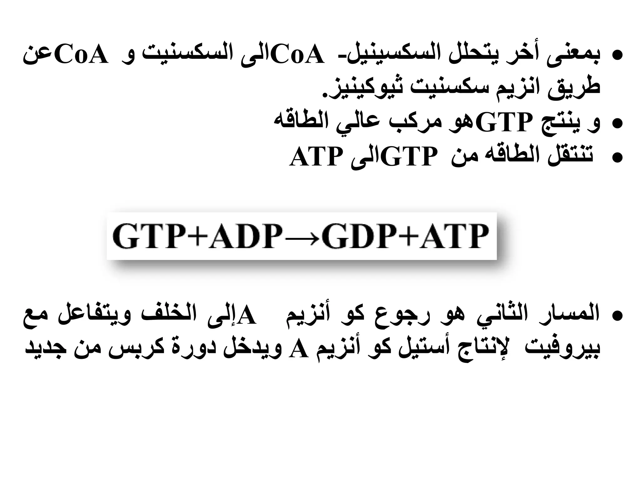 ُٗ‫بًع‬‫أخش‬‫ٚخحهم‬‫انسكسُٛٛم‬-CoAٗ‫ان‬‫انسكسُٛج‬ٔCoAٍ‫ع‬
‫طشٚك‬‫اَضٚى‬‫سكسُٛج‬‫ثٕٛكُٛٛض‬.
ٔ‫ُٚخح‬GTPْٕ‫يشكب‬ٙ‫عان‬ّ‫انطال‬
‫حُخمم‬ّ‫انطال‬ٍ‫ي‬GTPٗ‫ان‬ATP
‫انًساس‬َٙ‫انثا‬ْٕ‫سخٕع‬ٕ‫ك‬‫أَضٚى‬Aٗ‫إن‬‫انخهف‬‫ٔٚخفاعم‬‫يع‬
‫بٛشٔفٛج‬‫إلَخاج‬‫أسخٛم‬ٕ‫ك‬‫أَضٚى‬A‫ٔٚذخم‬‫دٔسة‬‫كشبس‬ٍ‫ي‬‫خذٚذ‬
 