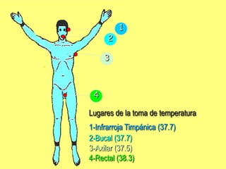 1
2
3
4
Lugares de la toma de temperatura
1-Infrarroja Timpánica (37.7)
2-Bucal (37.7)
3-Axilar (37.5)
4-Rectal (38.3)
 