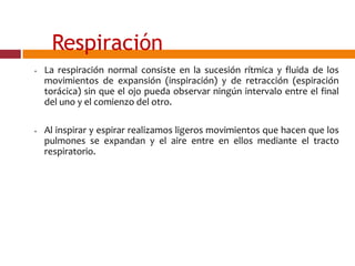 Respiración
• La respiración normal consiste en la sucesión rítmica y fluida de los
movimientos de expansión (inspiración) y de retracción (espiración
torácica) sin que el ojo pueda observar ningún intervalo entre el final
del uno y el comienzo del otro.
• Al inspirar y espirar realizamos ligeros movimientos que hacen que los
pulmones se expandan y el aire entre en ellos mediante el tracto
respiratorio.
 