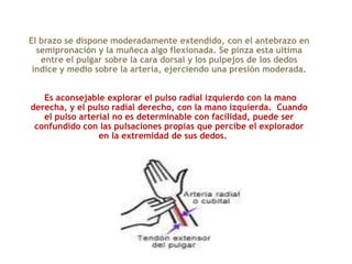 El brazo se dispone moderadamente extendido, con el antebrazo en
semipronación y la muñeca algo flexionada. Se pinza esta ultima
entre el pulgar sobre la cara dorsal y los pulpejos de los dedos
índice y medio sobre la arteria, ejerciendo una presión moderada.
Es aconsejable explorar el pulso radial izquierdo con la mano
derecha, y el pulso radial derecho, con la mano izquierda. Cuando
el pulso arterial no es determinable con facilidad, puede ser
confundido con las pulsaciones propias que percibe el explorador
en la extremidad de sus dedos.
 