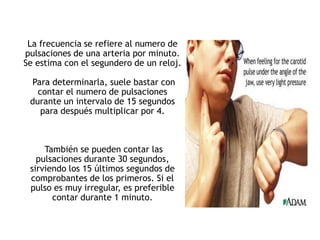 La frecuencia se refiere al numero de
pulsaciones de una arteria por minuto.
Se estima con el segundero de un reloj.
Para determinarla, suele bastar con
contar el numero de pulsaciones
durante un intervalo de 15 segundos
para después multiplicar por 4.
También se pueden contar las
pulsaciones durante 30 segundos,
sirviendo los 15 últimos segundos de
comprobantes de los primeros. Si el
pulso es muy irregular, es preferible
contar durante 1 minuto.
 