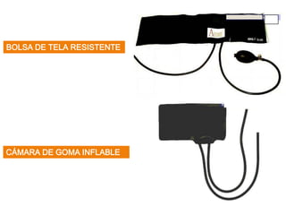 MANGUITO
BOLSA DE TELA RESISTENTE
CÁMARA DE GOMA INFLABLE
 