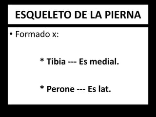 ESQUELETO DE LA PIERNA
• Formado x:
* Tibia --- Es medial.
* Perone --- Es lat.
 