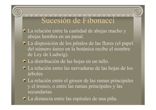 Sucesión de Fibonacci
La relación entre la cantidad de abejas macho y
abejas hembra en un panal.
La disposición de los pétalos de las flores (el papel
del número áureo en la botánica recibe el nombre
de Ley de Ludwig).
La distribución de las hojas en un tallo.
La relación entre las nervaduras de las hojas de los
árboles
La relación entre el grosor de las ramas principales
y el tronco, o entre las ramas principales y las
secundarias
La distancia entre las espirales de una piña.
 