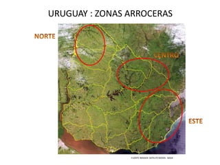 URUGUAY : ZONAS ARROCERAS

FUENTE IMAGEN: SATELITE MODIS - NASA

 