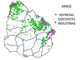 ARROZ
REPRESAS
EXISTENTES
INDUSTRIAS

 