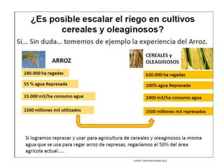 FUENTE: SANTIAGO ARANA 2012

 