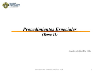 Procedimientos Especiales
(Tema 11)
Abogado: Julio César Díaz Valdez
1Julio Cesar Diaz Valdez/UGMA/2013-2014
 