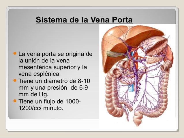 Patologia quirurgica del higado