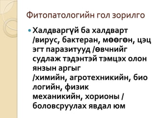 Фитопатологийн гол зорилго
 Халдваргүй ба халдварт

/вирус, бактеран, мөөгөн, цэц
эгт паразитууд /өвчнийг
судлаж тэдэнтэй тэмцэх олон
янзын аргыг
/химийн, агротехникийн, био
логийн, физик
механикийн, хорионы /
боловсруулах явдал юм

 