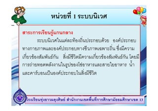 หนวยท ระบบนเวศ
หนวยที่ 1 ระบบนิเวศ
สาระการเรีียนรูแกนกลาง
ระบบนิเวศในแตละทองถิ่นประกอบดวย องคประกอบ
ทางกายภาพและองคประกอบทางชีวภาพเฉพาะถิ่น ซึ่งมีความ
เกยวของสมพนธกน สงมชวตมความเกยวของสมพนธกน โ ี
ี่  ั ั ั
ิ่ ี ี ิ ี
ี่  ั ั ั โดยม
การถายทอดพลังงานในรูปของโซอาหารและสายใยอาหาร น้ํา
และคารบอนเปนองคประกอบในสิ่งมีชีวิต

โรงเรียนทุงยาวผดุงศิษย สํานักงานเขตพื้นที่การศึกษามัธยมศึกษาเขต 13

 