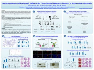 Systems Genetics Analysis Reveals Higher-Order Transcriptional Regulatory Elements of Breast Cancer Metastasis
Farhoud Faraji , Ying Hu , Gang Wu , Jinghui Zhang , Kent W. Hunter
1

2

3

3

1

Laboratory of Cancer Biology and Genetics and 2Laboratory of Population Genetics, National Cancer Institute. Bethesda, MD.
3
Department of Computational Biology, Saint Jude Children’s Research Hospital. Memphis, TN.

1

Introduction
Prognostic gene signatures that predict patient risk for metastatic disease are in clinical trials. These
gene sets, however, provide little insight into mechanisms of metastasis. Here we exploit the principle
that metastatic propensity is modified by the genetic background to link prognostic gene signatures with
molecular mechanisms driving metastasis. In doing so we transcend single gene functional analysis and
unveil the higher-order transcriptional architecture of heritable predisposition to breast cancer
metastasis.
Key Points
A.Network analysis of global expression profiles from genetically defined AKXD recombinant inbred
panel primary tumors identified a network of co-expressed genes centered on Cnot2 that predicts
metastasis free survival in human breast cancer.
 Cnot2 over-expression regulates expression of network genes.
 Modulating Cnot2 expression inversely impacts tumor cell metastatic potential in vivo.
 Cnot2 binds the metastasis driver genes Brd4-SF, Rrp1b, and Sipa1
A.Small RNA sequencing of the same tumor panel revealed miRNA-3470b as a potential upstream
regulator of the Cnot2 network.
 miR-3470b down-regulates Cnot2 network hub gene expression.
 miR-3470b expression down-regulated anti-metastatic genes and upregulated pro-metastatic
genes
 miR-3470b promotes metastasis.
Conclusion
Our systems genetics strategy provides a higher-order view of metastatic susceptibility. We identify and
validate a co-expressed module of transcripts that is post-transcriptionally regulated by miR-3470b and
whose central node, Cnot2, functionally regulates metastasis. The physical interaction of CNOT2 with
previously identified metastasis modifier proteins BRD4-SF, SIPA1, and RRP1B implicates CNOT2 in a
larger nuclear complex that regulates metastatic potential, further demonstrating the value of
undertaking higher-order analyses to interrogate mechanisms of metastasis.

The Cnot2
3 A module of co-expressed Network: by Cnot2
genes regulated

1

2

Employing meiotic genetics to understand
heritable predisposition to metastasis
AKR/J

Systems genetics strategy to unveil the
higher-order transcriptional structure of metastasis
AKXD x PyMT F1 Tumors

DBA/2J

Microarray based
mRNA profiling

x

P

Metastasis-prone

F1

x

F2

x

x

F3

x

+

FVB PyMT

]

+

4

Prone

x

Network Hub
Kaplan-Meier
Analysis

Intermediate

Resistant

5

51
4

Signal

Absorption
51
4

nm

*

p=0.05

nm

C-terminal YFP
Fragment

CNOT2

miR-3470b down-regulates Cnot2 network hubs

Proteins in close proximity

No Signal

N-terminal YFP
Fragment

Biological
Validation

miR-3470b is a candidate post-transcriptional
regulator of the Cnot2 network

Bi-molecular fluorescent complementation (BiFC)
Proteins not in close proximity

Identify miRNAs
Highly Represented
In Networks

Biological
Validation

CNOT2 binds known metastasis modifier proteins

Absorption

Negatively Correlated
miRNA-mRNA
Filter for miR-mRNA
Target Pairs

AKXDnPyMT+ F1
Metastasis
Susceptibility

miRNA Sequencing

Network
Generation

x

x

[

F>20

Metastasis-resistant

x

Contact: farajif@mail.nih.gov

***
*

**

m
0n
53
Reconstituted
YFP

*

*

**

Protein B

CNOT2

Protein B

**

**

**

Cnot2 module expression predicts distant metastasis free survival in lymph node negative non-adjuvant-treated breast cancer

CNOT2 complements YFP fluorescence in conjunction with
BRD4 short isoform (BRD4-SF), SIPA1, and RRP1B

GSE11121

1.0

Protein B = BRD4-SF

0.8

Protein B = SIPA1

Protein B = RRP1B

miR-3470b modulates metastasis driver expression to drive a pro-metastatic transcriptional profile

0.6
**

**

0.2

**
––– Low risk
----- High risk

––– Low risk
----- High risk

p = 0.004

50

100

150

0

50

Months

BiFC

p = 0.004

100

150

Transfection Control

BiFC

Transfection Control

BiFC

Transfection Control

200

Months

In vivo metastasis assays validate Cnot2 as a metastasis suppressor
Primary Tumor Burden
Primary Tumor Burden

**

0.5

DAPI

Merge

6DT1
Control

6DT1
Control

80

Surface Metastasis Count

0.5

6DT1
Cnot2

Pulmonary Metastases
Pulmonary Metastases
*
**
WB

6DT1
shControl

6DT1
sh62

6DT1
sh64

Control

WB

40

anti-MYC

anti-MYC

6DT1
shControl

6DT1
sh62

6DT1
sh64

1% Input

IP: anti-MYC

1.5
1.0
0.5
0.0

1% Input

IP: anti-MYC

6DT1
miR-3470a

Primary Tumor Burden
Primary Tumor Burden
p=0.11
*

2.0

anti-HA

anti-FLAG

60

20

6DT1
Control

2.5

0

0.0

miR-3470a/b RNA

Merge

20

PrimaryTumor Burden
Primary Tumor Burden

1.0

DAPI

CNOT2 co-precipitates BRD4-SF and RRP1B

40

6DT1
Cnot2

1.5

Merge

60

0

0.0

DAPI

80

Surface Metastasis Count

1.0

6DT1 sh64

Tumor Mass (g)

1.5

6DT1 sh62

Ne
ga
ti v
e
Cn
ot
2M
YC
Rr
p1
bHA
Cn
ot
2
+
Rr
Ne
p1
ga
b
ti v
e
Cn
ot
2M
YC
Rr
p1
bHA
Cn
ot
2
+
Rr
p1
b

Surface Metastasis Count

80

6DT1 shControl

Ne
ga
tiv
e
Cn
ot
2M
YC
Br
d4
-S
FFL
Cn
AG
ot
2
+
Br
Cn
d4
ot
-S
2F
M
YC
Ne
ga
tiv
e
Br
d4
-S
FFL
Cn
AG
ot
2
+
Br
d4
-S
F

*

2.0

Tumor Mass (g)

Pulmonary Metastases
Pulmonary Metastases

miR-3470a and miR-3470b expression promote metastasis in vivo

6DT1
miR-3470b

Pulmonary Metastases
Pulmonary Metastases
**
**

60
40
20
0

6DT1
Control

6DT1
miR-3470a

6DT1
miR-3470b

miR-3470a

0.0
0

Tumor Mass (g)

**

0.4

miR-3470b

Distant Metastasis Free Survival

GSE2034

Underlined:
Predicted miRNA
Recognition Element

6DT1
Control

6DT1
miR-3470a

6DT1
miR-3470b

 