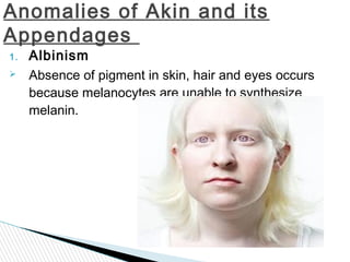 11.a.the skin and its appendages | PPT